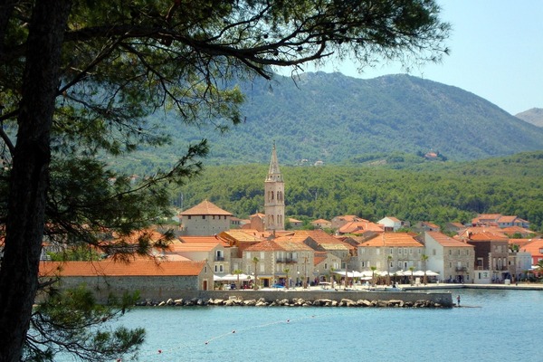 Praznik oljke na Hvaru in Mandarine