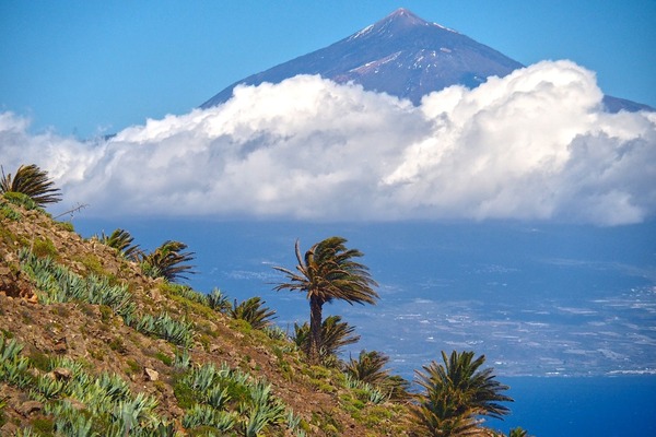 ČAROBNI TENERIFE