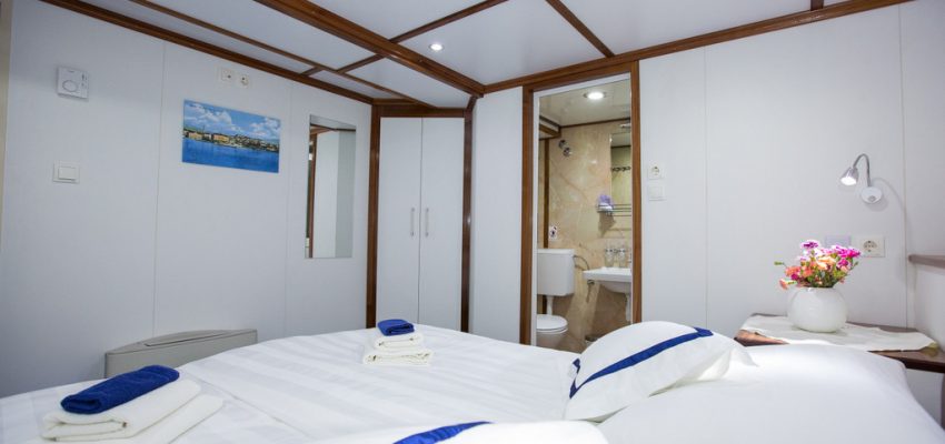 MS-Splendid-cabins-8-850x400