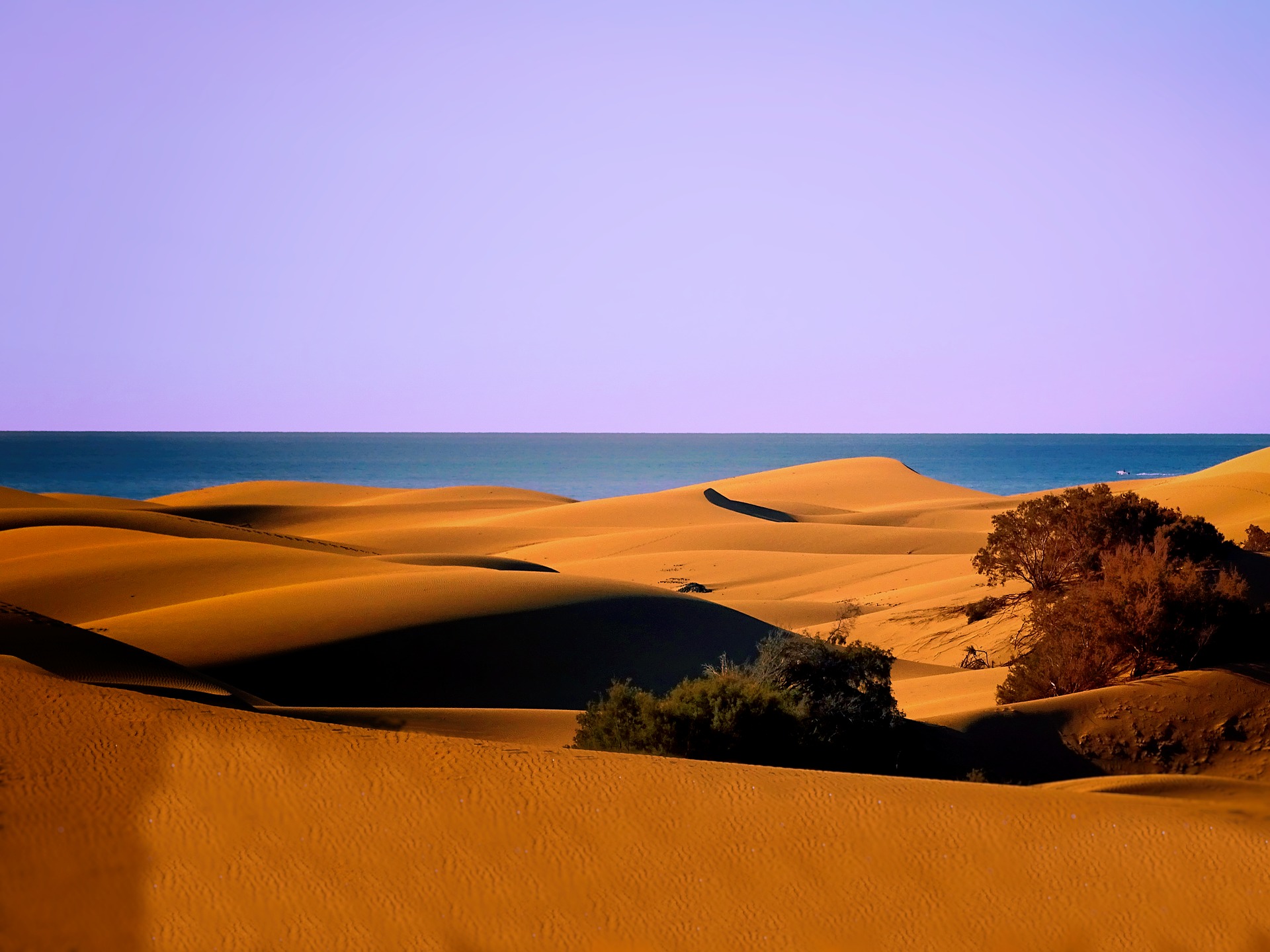 sand-dunes-3903300_1920