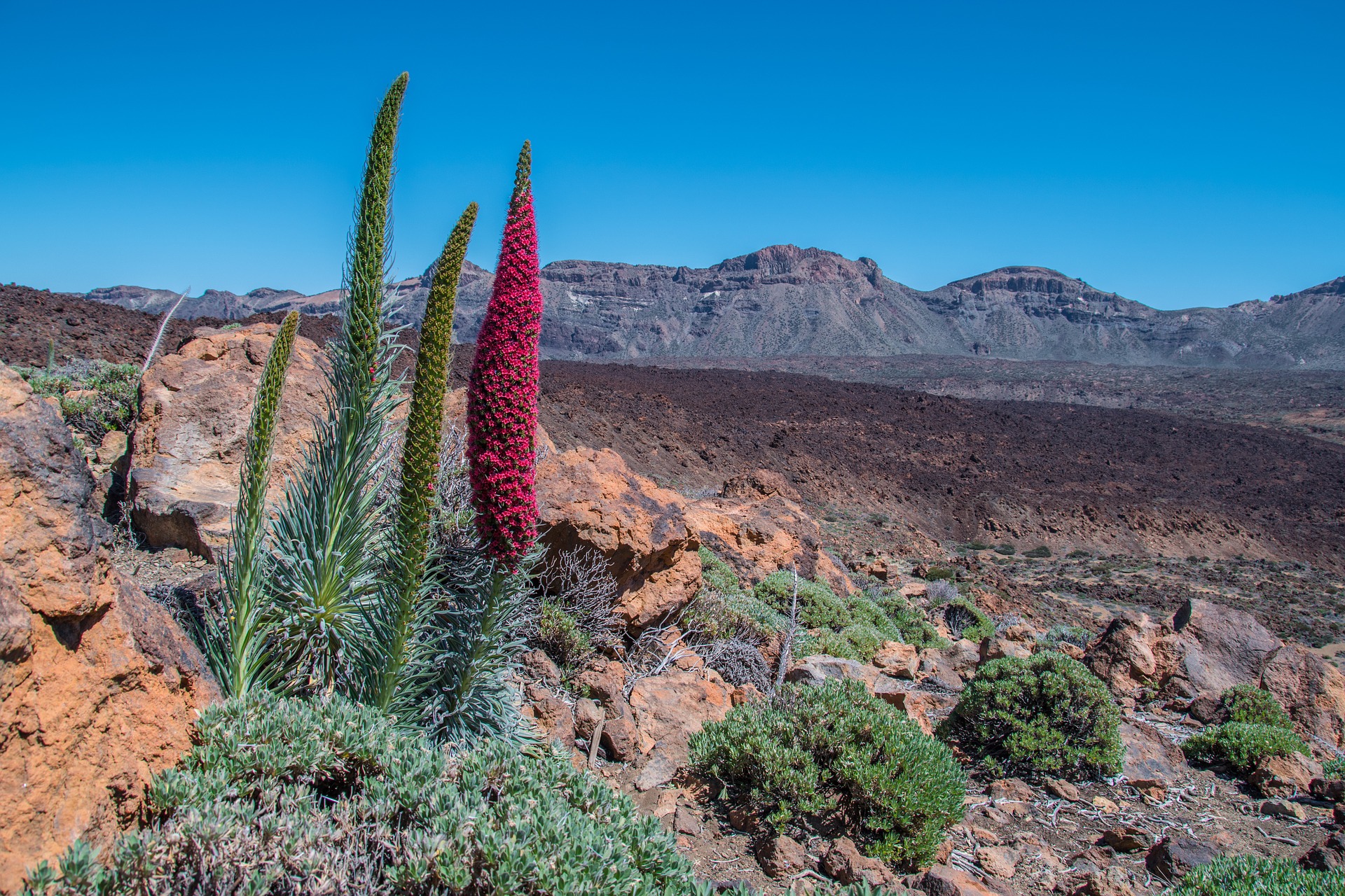 tenerife-1388832_1920 (1)