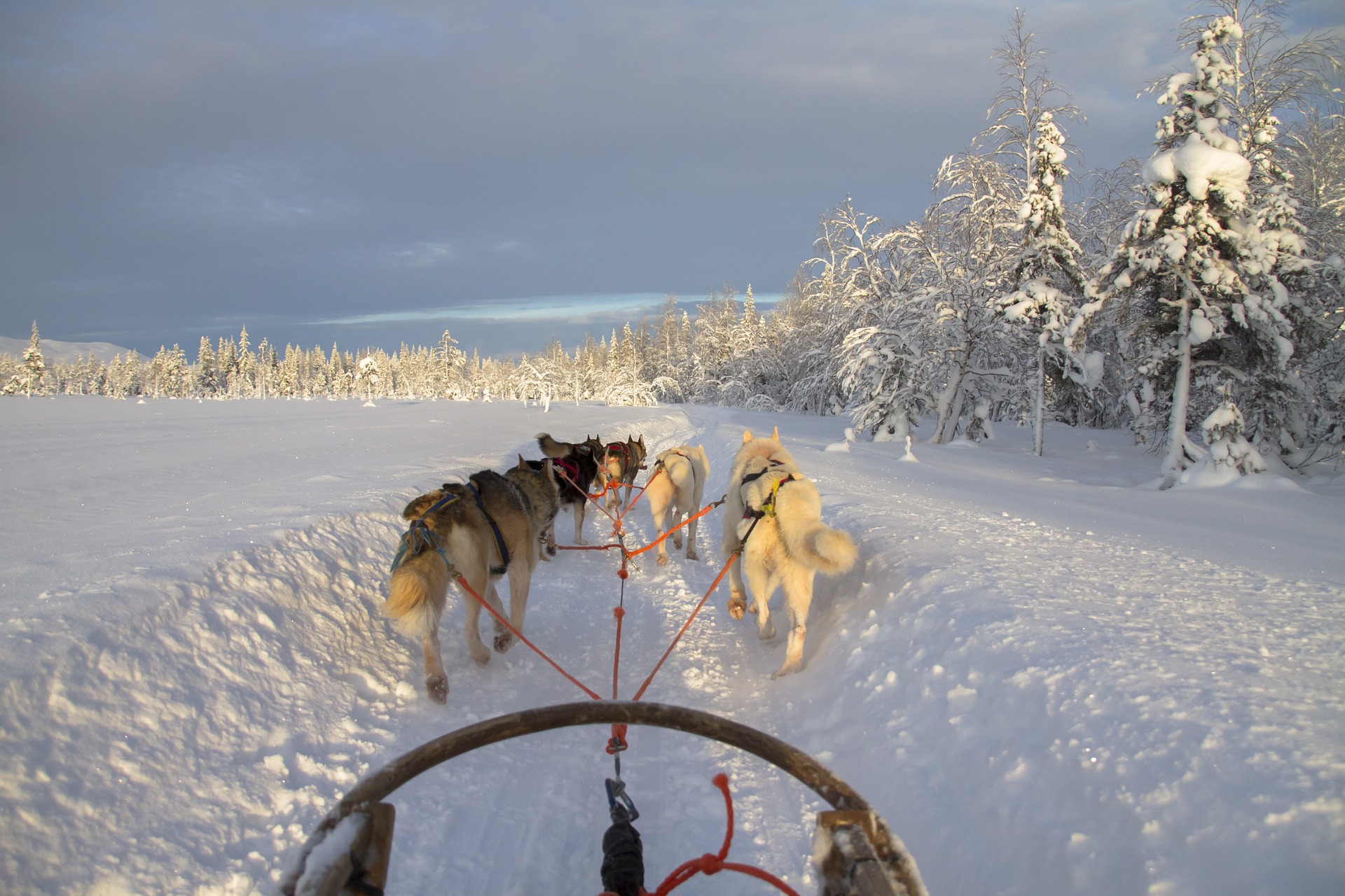 finland-g39df40ff4_1920