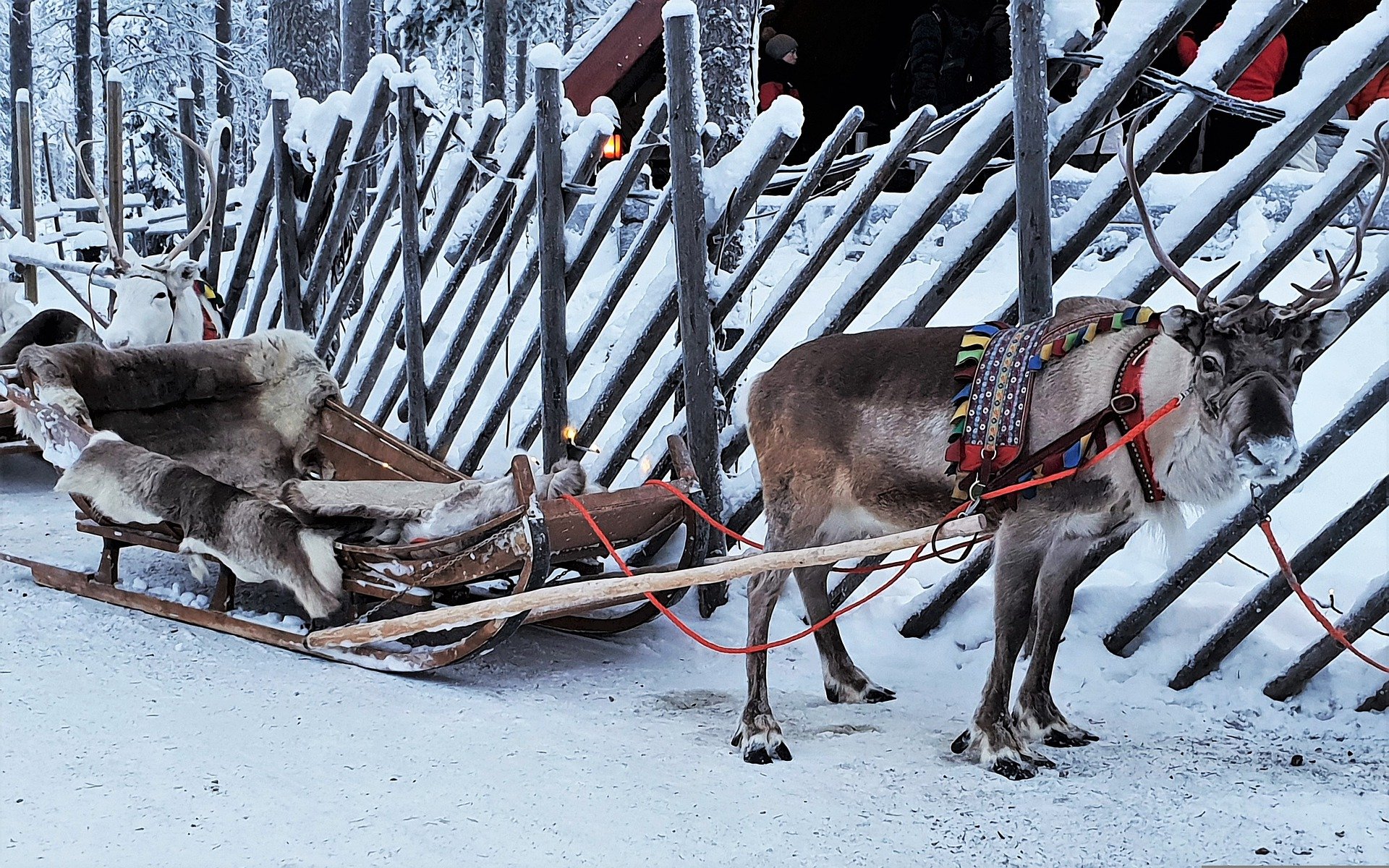 lapland-g9bba343c1_1920