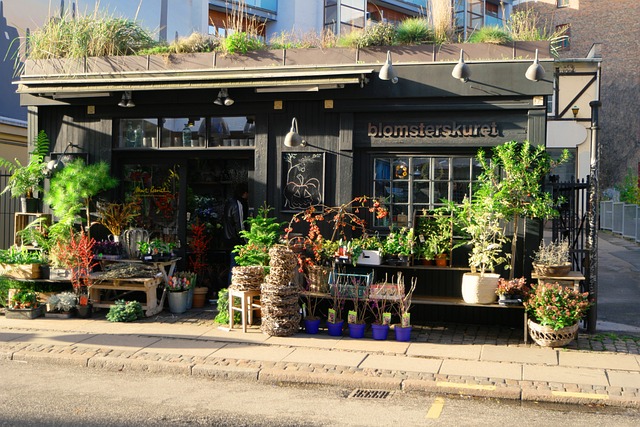flowers-1047820_640