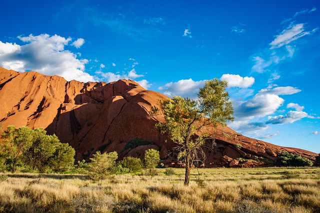 landscape-7580262_640