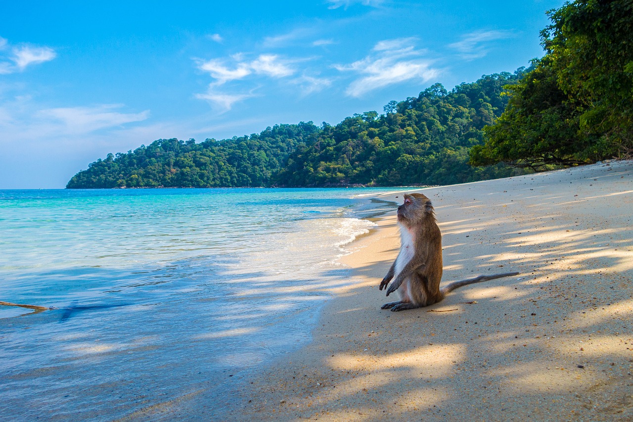 beach-3251530_1280