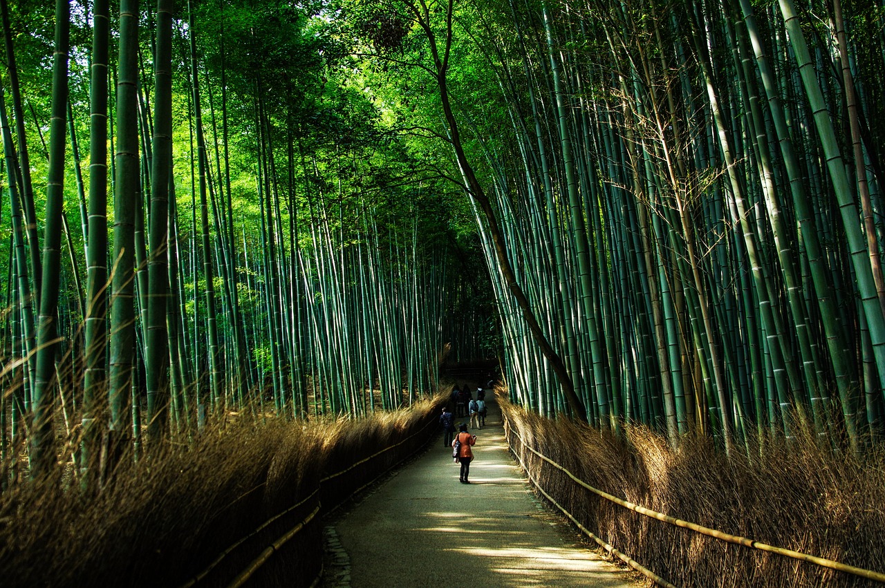 kyoto-1229559_1280
