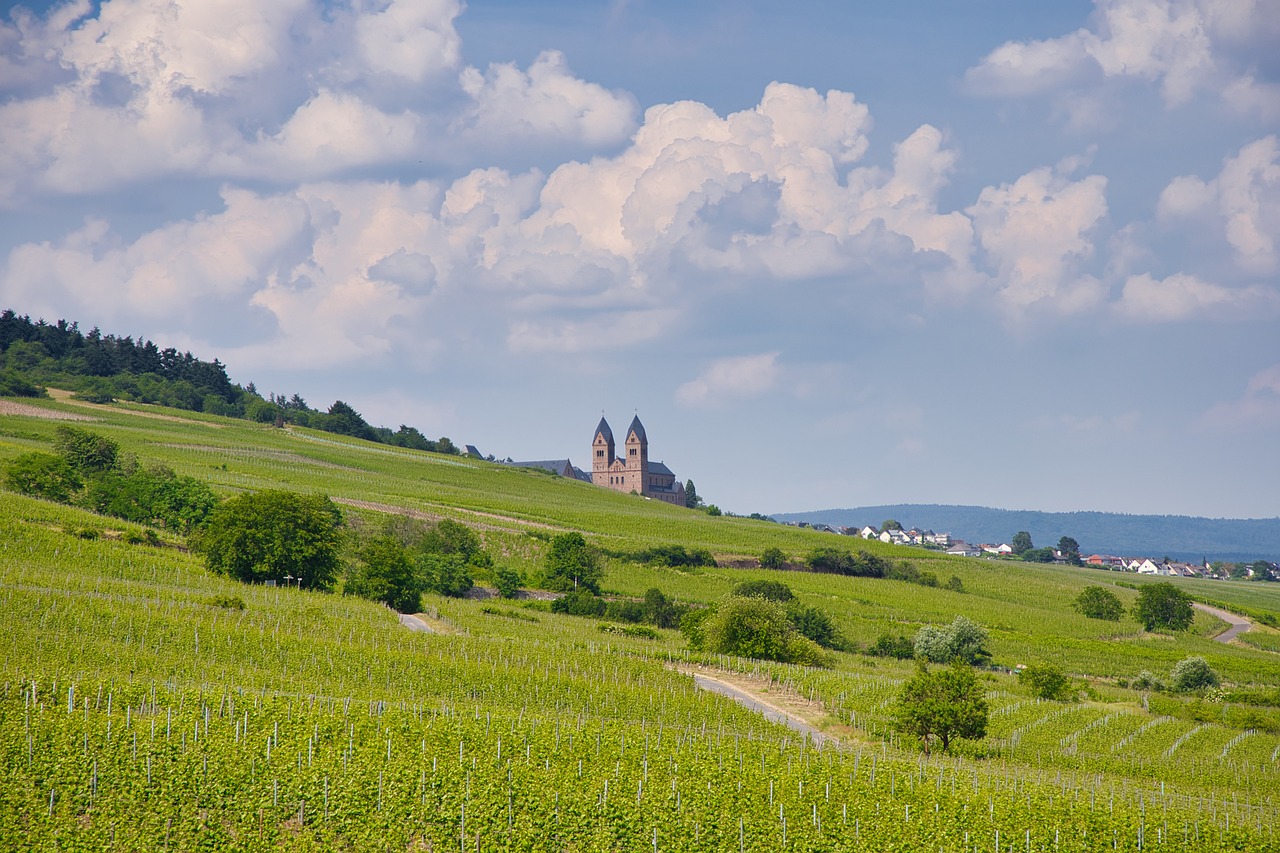 rudesheim-6368590_1280