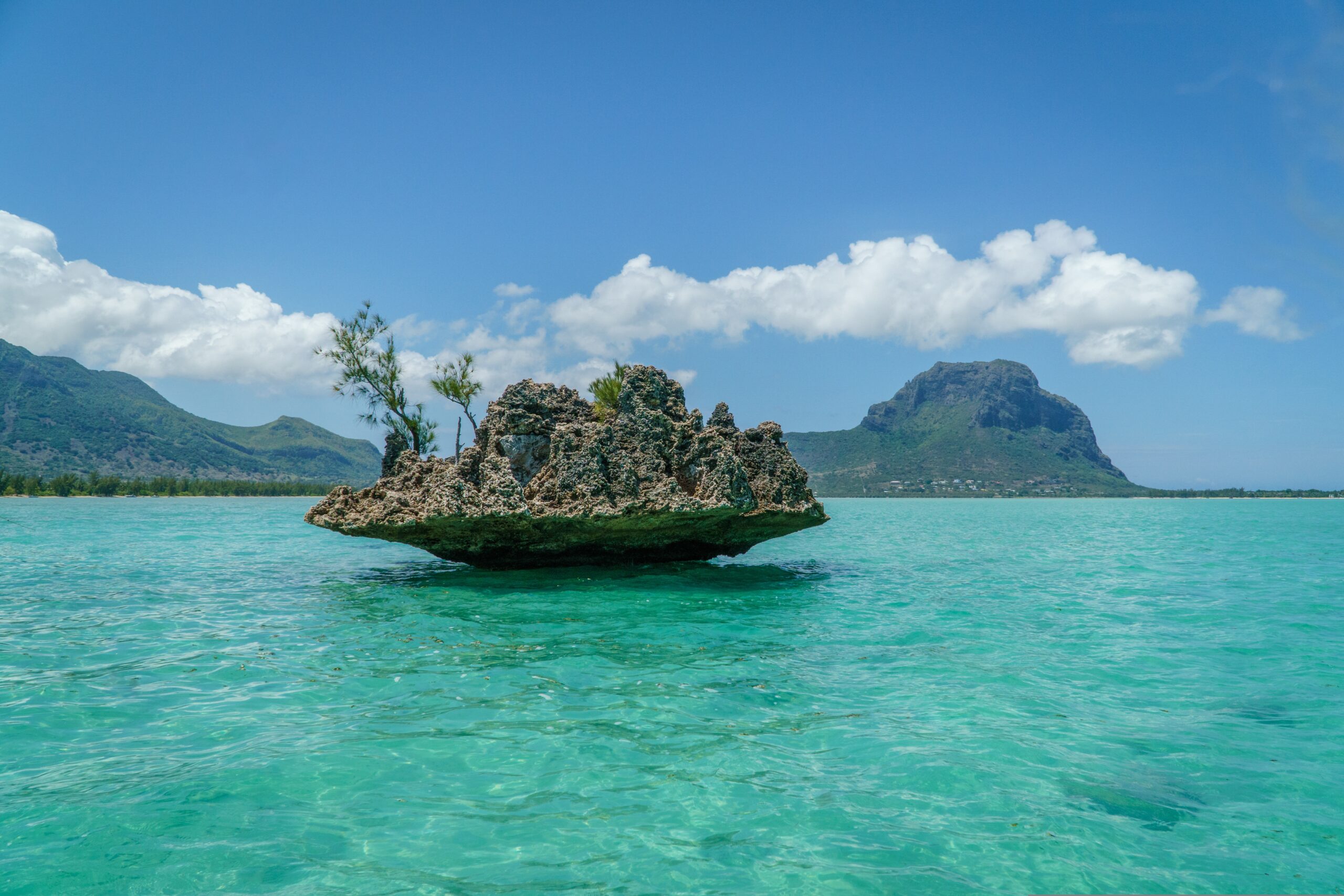 derbub-mauritius-4390436