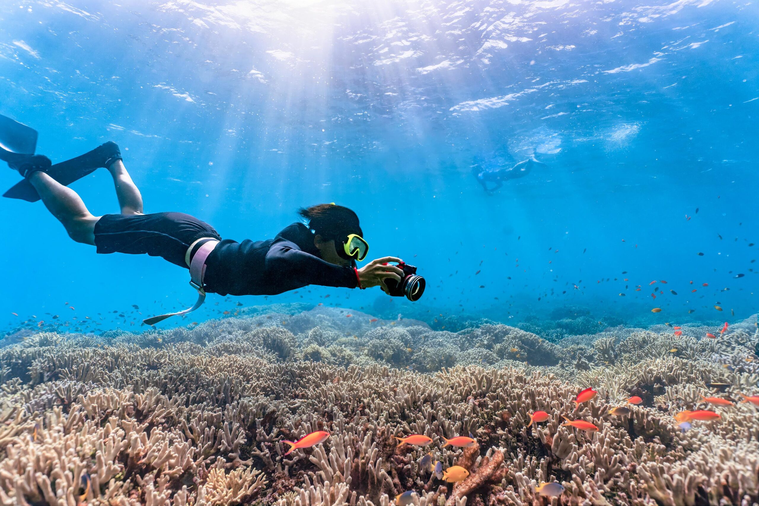kanenori-diving-6622121